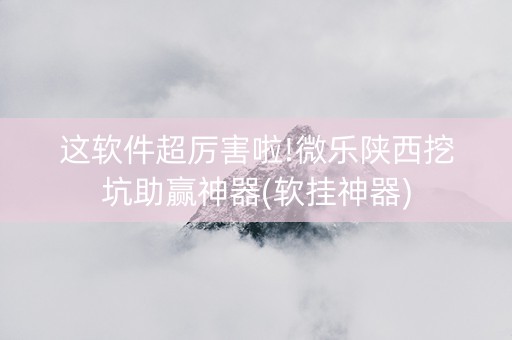 这软件超厉害啦!微乐陕西挖坑助赢神器(软挂神器)
