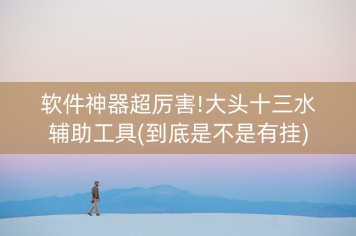 软件神器超厉害!大头十三水辅助工具(到底是不是有挂)