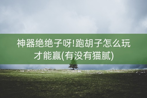 神器绝绝子呀!跑胡子怎么玩才能赢(有没有猫腻)