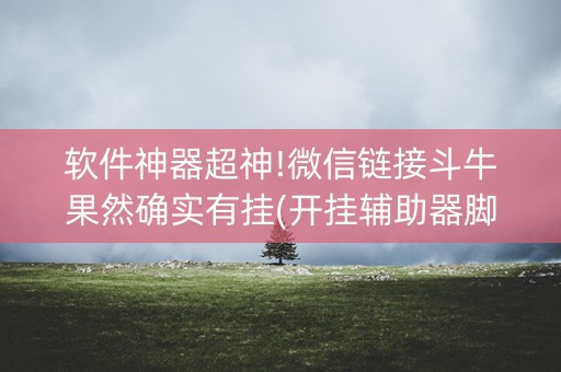 软件神器超神!微信链接斗牛果然确实有挂(开挂辅助器脚本)