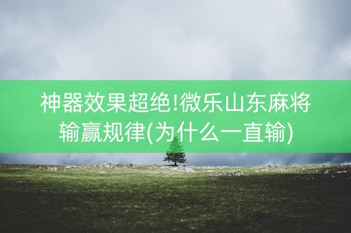 神器效果超绝!微乐山东麻将输赢规律(为什么一直输)