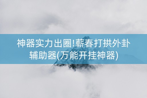 神器实力出圈!蕲春打拱外卦辅助器(万能开挂神器)