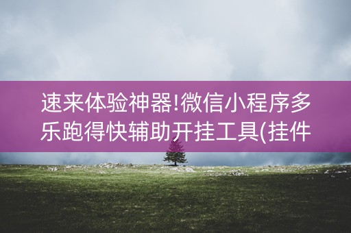 速来体验神器!微信小程序多乐跑得快辅助开挂工具(挂件神器)