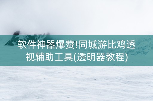 软件神器爆赞!同城游比鸡透视辅助工具(透明器教程)