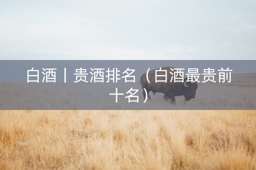 白酒丨贵酒排名（白酒最贵前十名）