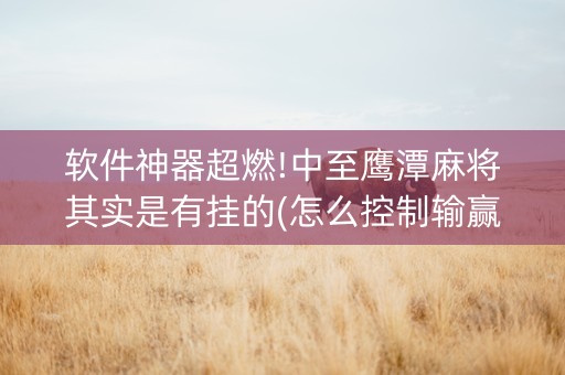 软件神器超燃!中至鹰潭麻将其实是有挂的(怎么控制输赢)