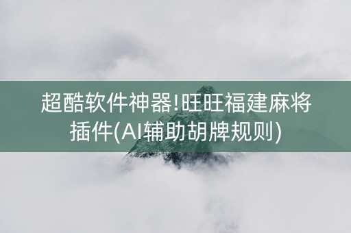 超酷软件神器!旺旺福建麻将插件(AI辅助胡牌规则)