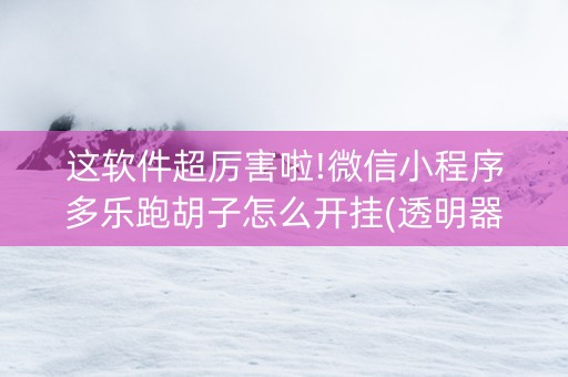 这软件超厉害啦!微信小程序多乐跑胡子怎么开挂(透明器教程)