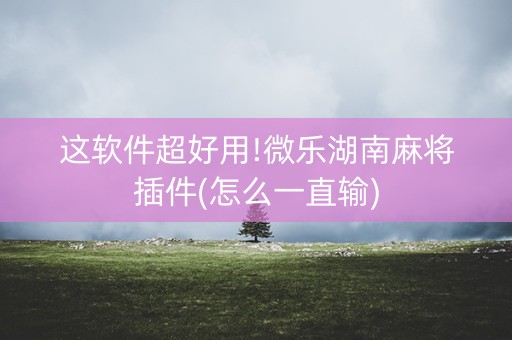 这软件超好用!微乐湖南麻将插件(怎么一直输)