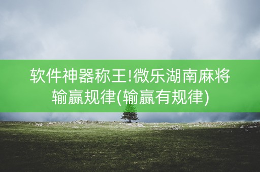 软件神器称王!微乐湖南麻将输赢规律(输赢有规律)