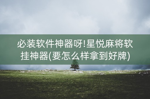 必装软件神器呀!星悦麻将软挂神器(要怎么样拿到好牌)