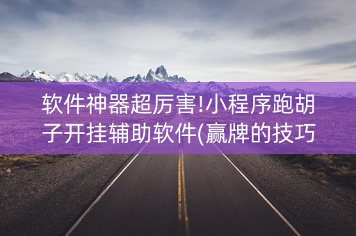 软件神器超厉害!小程序跑胡子开挂辅助软件(赢牌的技巧)