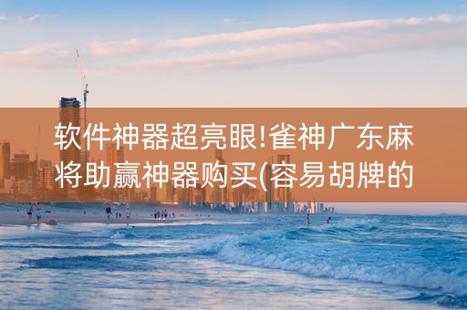 软件神器超亮眼!雀神广东麻将助赢神器购买(容易胡牌的技巧)