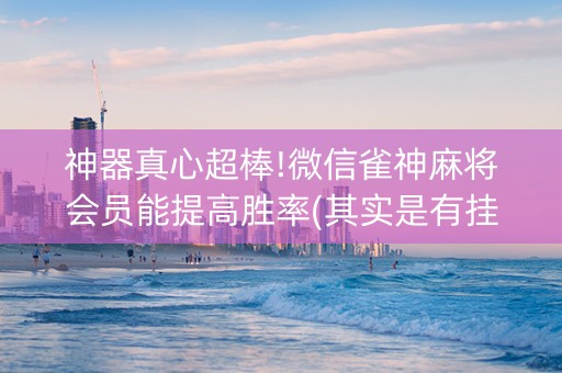 神器真心超棒!微信雀神麻将会员能提高胜率(其实是有挂确实有挂)