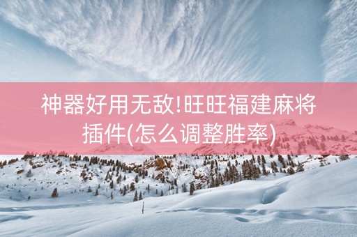 神器好用无敌!旺旺福建麻将插件(怎么调整胜率)