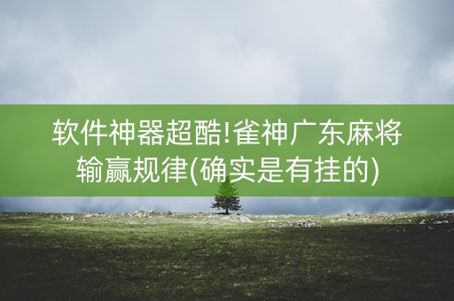软件神器超酷!雀神广东麻将输赢规律(确实是有挂的)