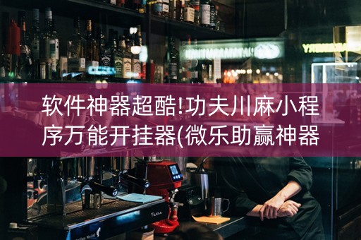 软件神器超酷!功夫川麻小程序万能开挂器(微乐助赢神器)