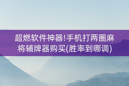 超燃软件神器!手机打两圈麻将辅牌器购买(胜率到哪调)