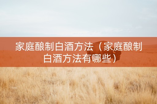 家庭酿制白酒方法（家庭酿制白酒方法有哪些）