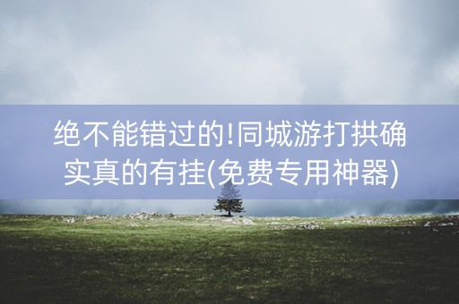 绝不能错过的!同城游打拱确实真的有挂(免费专用神器)