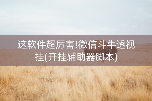 这软件超厉害!微信斗牛透视挂(开挂辅助器脚本)