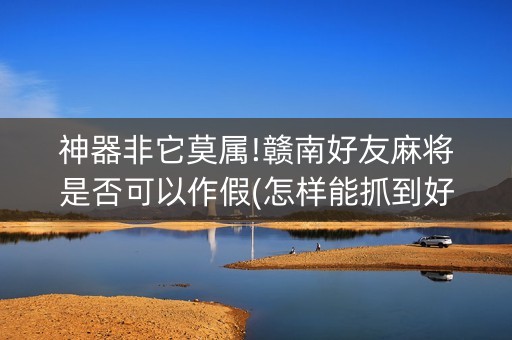 神器非它莫属!赣南好友麻将是否可以作假(怎样能抓到好牌)