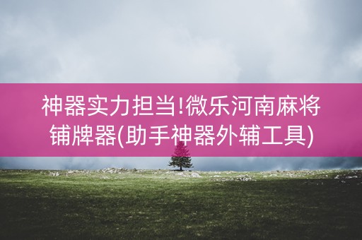 神器实力担当!微乐河南麻将铺牌器(助手神器外辅工具)