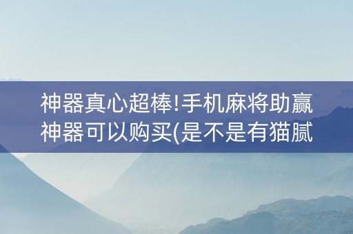 神器真心超棒!手机麻将助赢神器可以购买(是不是有猫腻)