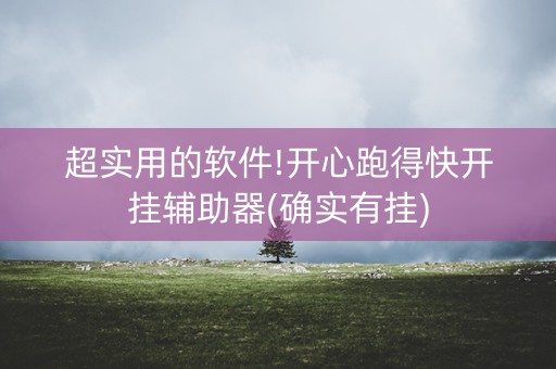 超实用的软件!开心跑得快开挂辅助器(确实有挂)