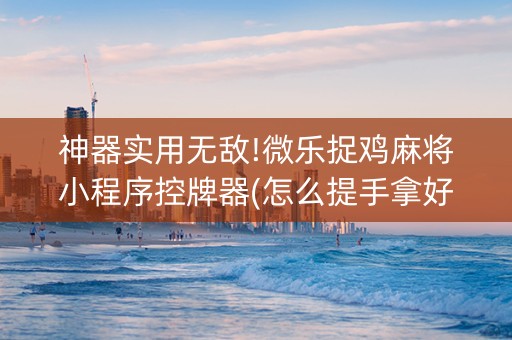 神器实用无敌!微乐捉鸡麻将小程序控牌器(怎么提手拿好牌)