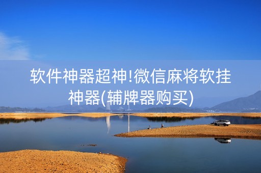 软件神器超神!微信麻将软挂神器(辅牌器购买)