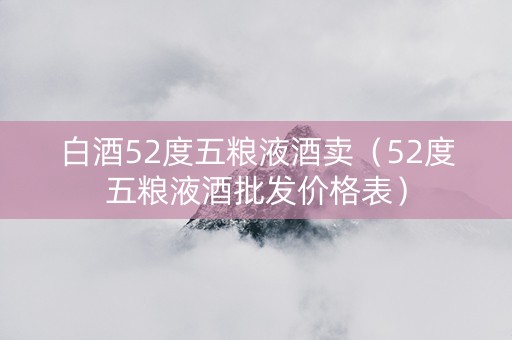 白酒52度五粮液酒卖（52度五粮液酒批发价格表）