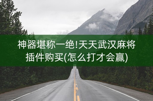 神器堪称一绝!天天武汉麻将插件购买(怎么打才会赢)