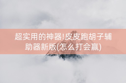 超实用的神器!皮皮跑胡子辅助器新版(怎么打会赢)