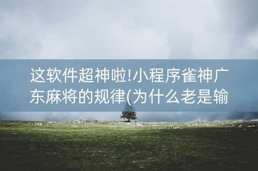 这软件超神啦!小程序雀神广东麻将的规律(为什么老是输)