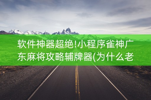 软件神器超绝!小程序雀神广东麻将攻略辅牌器(为什么老是输呢)