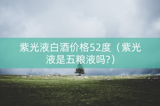 紫光液白酒价格52度（紫光液是五粮液吗?）