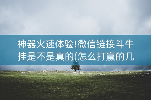 神器火速体验!微信链接斗牛挂是不是真的(怎么打赢的几率大)