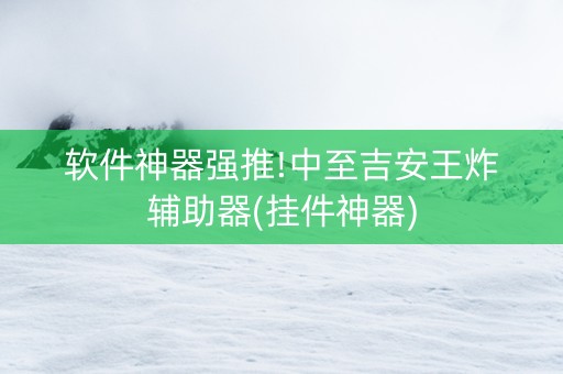 软件神器强推!中至吉安王炸辅助器(挂件神器)