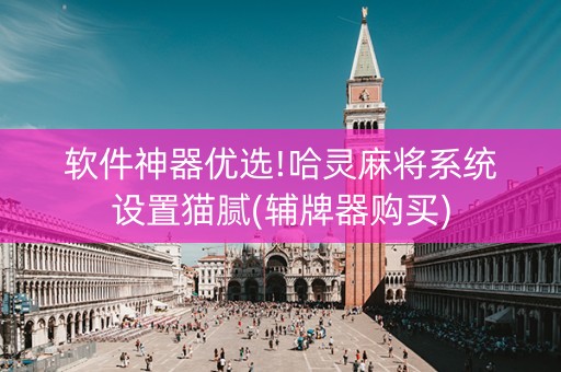 软件神器优选!哈灵麻将系统设置猫腻(辅牌器购买)