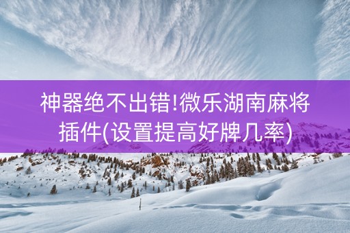 神器绝不出错!微乐湖南麻将插件(设置提高好牌几率)