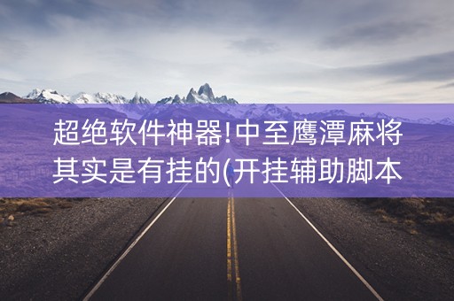 超绝软件神器!中至鹰潭麻将其实是有挂的(开挂辅助脚本)