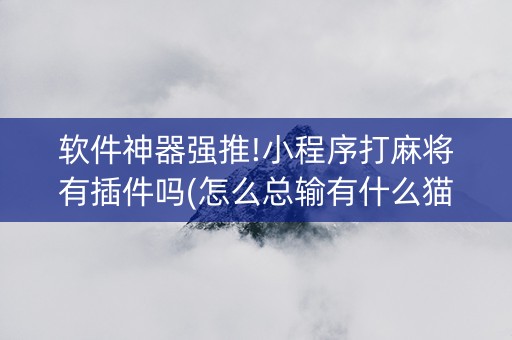 软件神器强推!小程序打麻将有插件吗(怎么总输有什么猫腻)
