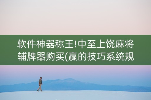 软件神器称王!中至上饶麻将辅牌器购买(赢的技巧系统规律)