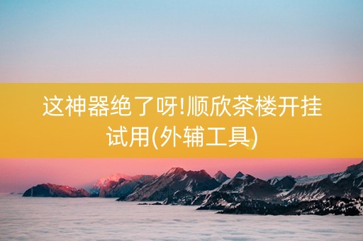 这神器绝了呀!顺欣茶楼开挂试用(外辅工具)