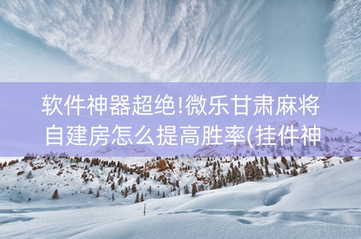 软件神器超绝!微乐甘肃麻将自建房怎么提高胜率(挂件神器)