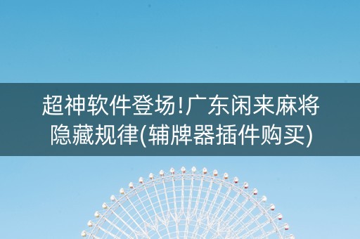 超神软件登场!广东闲来麻将隐藏规律(辅牌器插件购买)
