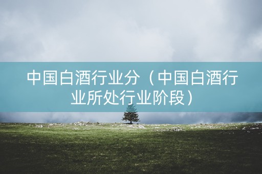 中国白酒行业分（中国白酒行业所处行业阶段）