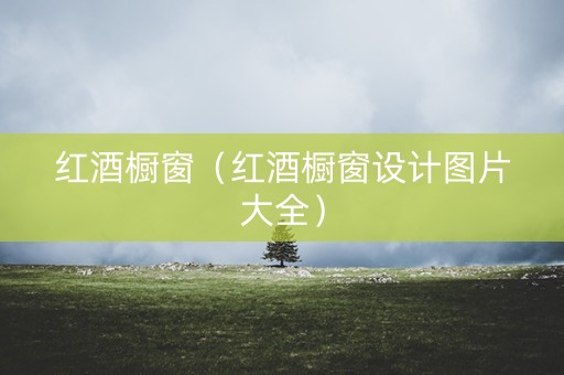 红酒橱窗（红酒橱窗设计图片大全）