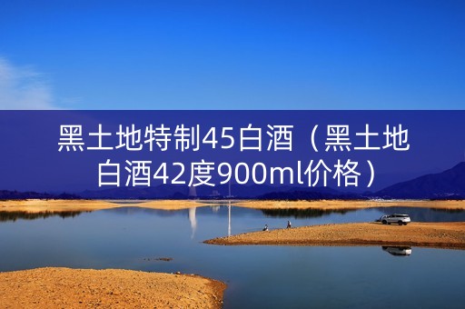 黑土地特制45白酒（黑土地白酒42度900ml价格）